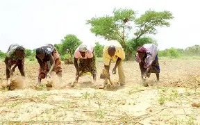 PROTECTION SOCIALE : 5 MILLIONS DE PERSONNES BÉNÉFICIERONT DU PROGRAMME D'INVESTISSEMENT EN PROTECTION SOCIALE DANS LES SECTEURS AGRICOLE ET INFORMEL
