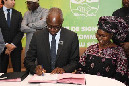 SÉNÉGAL : LE RECOURS DES INDUSTRIELS AU MAÏS PRODUIT LOCALEMENT S’INTENSIFIE