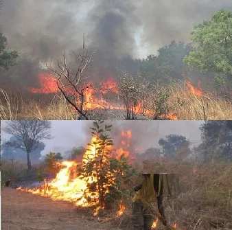 LUTTE CONTRE LES FEUX DE BROUSSE : LUCIEN KOUASSI LANCE UNE CAMPAGNE DE SENSIBILISATION À KAHANKRO