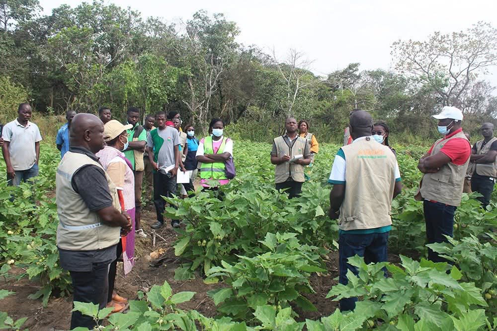 ANADER : UNE MISSION NATIONALE POUR ÉVALUER LES RÉALISATIONS DU PTBA 2025.