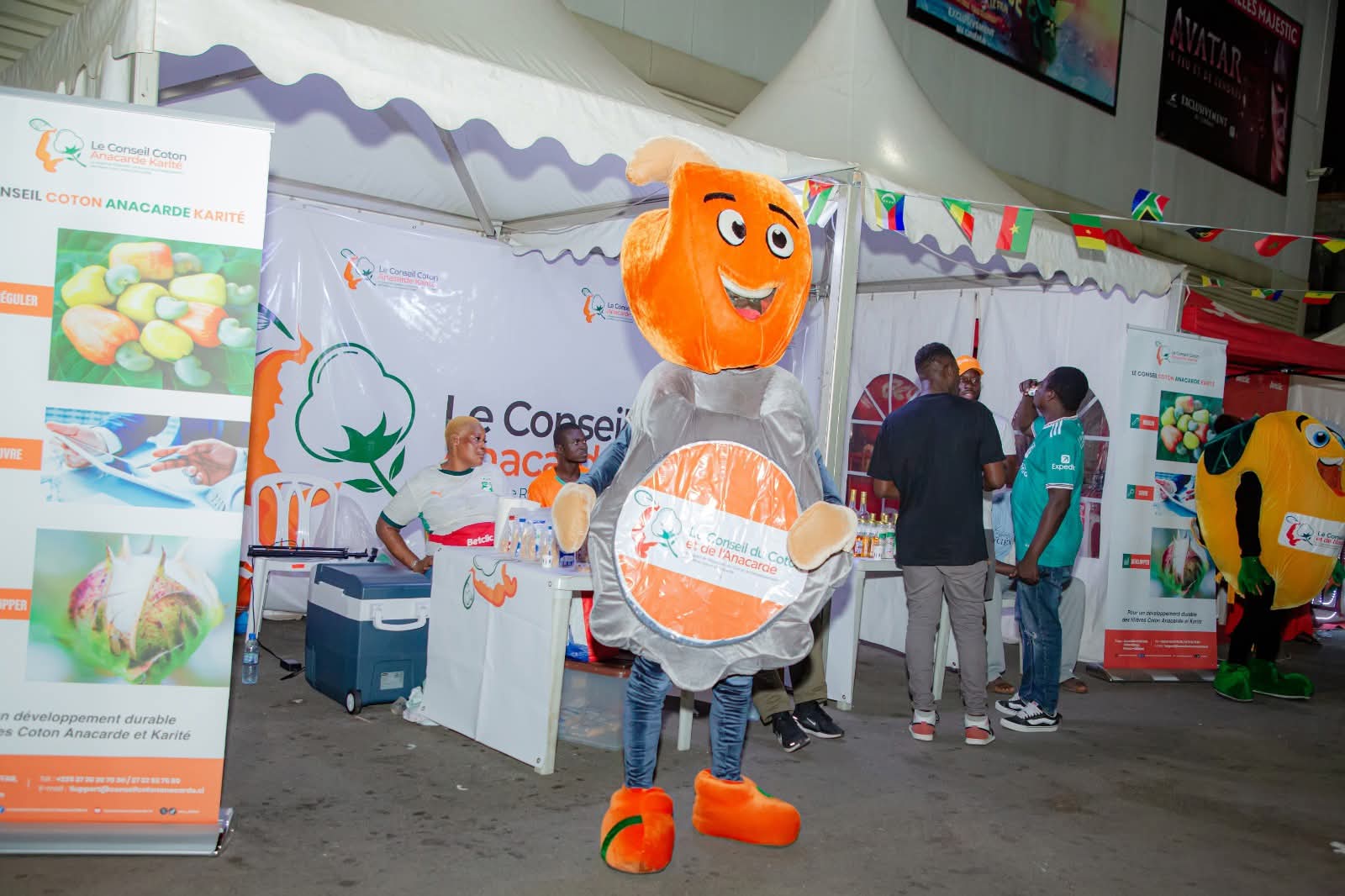 COTE D'IVOIRE - CAN 2025: LE CONSEIL COTON ANACARDE KARITÉ AUX CÔTÉS DES ÉLÉPHANTS AU VILLAGE CAN DE YOPOUGON