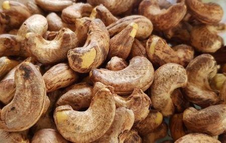 CÔTE D’IVOIRE : LES VENTES D’AMANDE DE CAJOU ATTENDUES À 623 MILLIONS DE DOLLARS POUR 2025