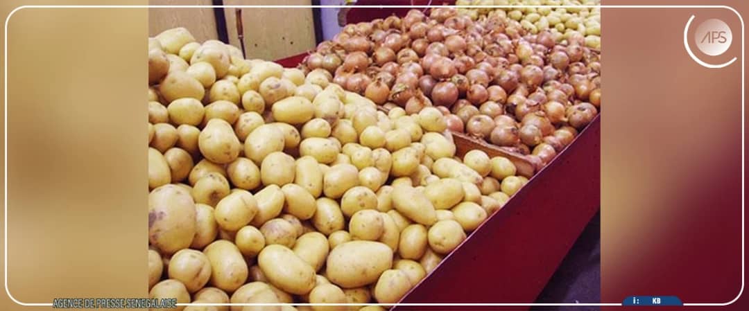 SENEGAL - POMME DE TERRE ET OIGNON : SUSPENSION IMMÉDIATE DES IMPORTATIONS DÈS LE 16 JANVIER