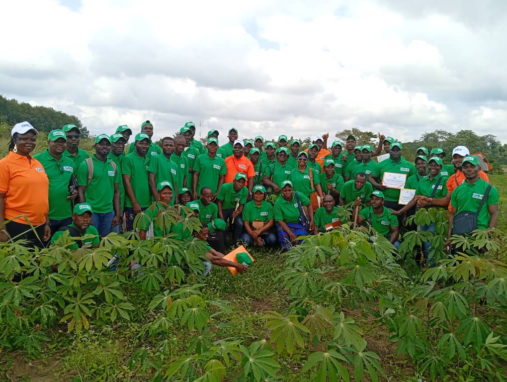 CÔTE D’IVOIRE – LA FILIÈRE MANIOC : LE GOUVERNEMENT S’Y INTÉRESSE-T-IL VRAIMENT ?
