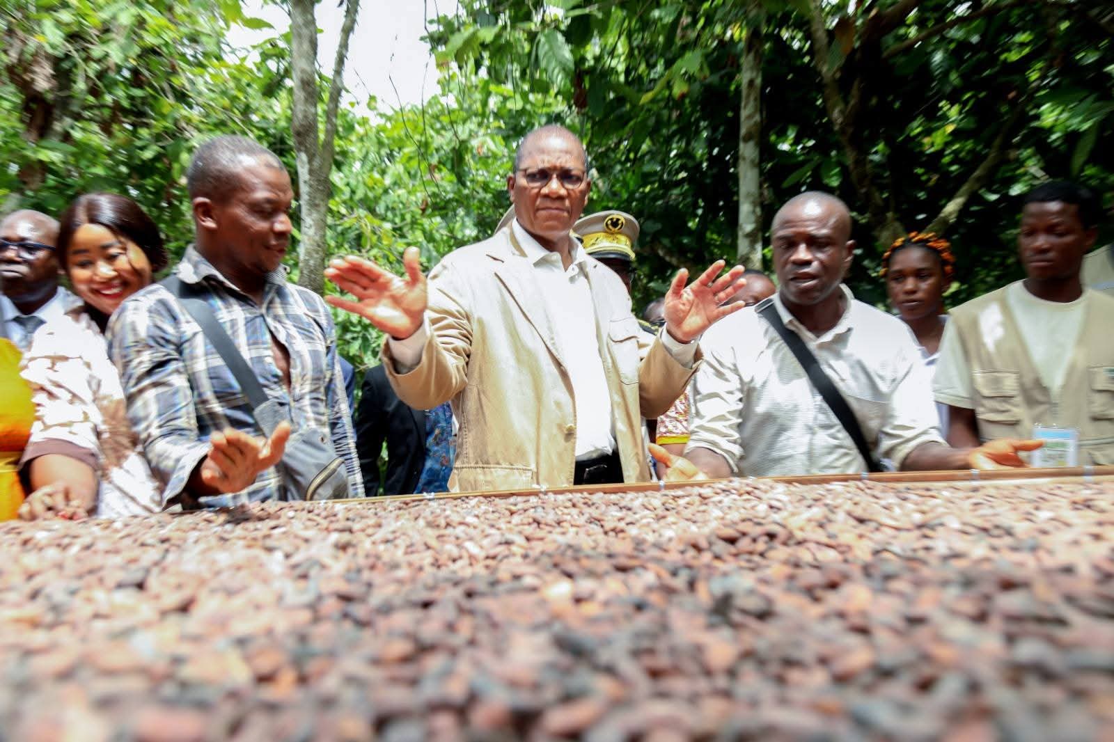 CÔTE D’IVOIRE-CACAO : BRUNO NABAGNE KONE ANNONCE UN PRIX DE 1 200 FCFA/KG POUR LA PETITE SAISON 2025-2026