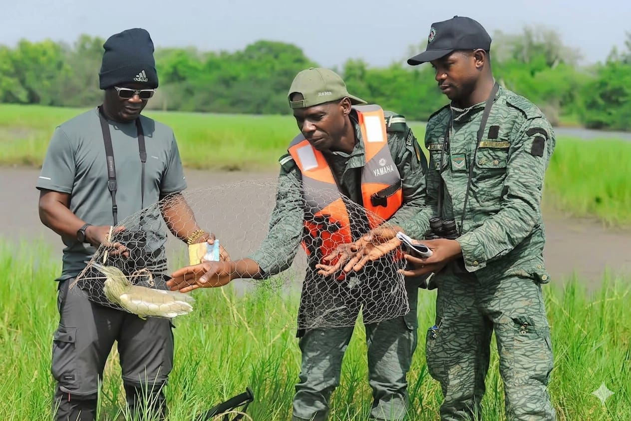 CÔTE D’IVOIRE – DÉNOMBREMENT INTERNATIONAL DES OISEAUX D’EAU 2026 : DES RÉSULTATS ENCOURAGEANTS ENREGISTRÉS