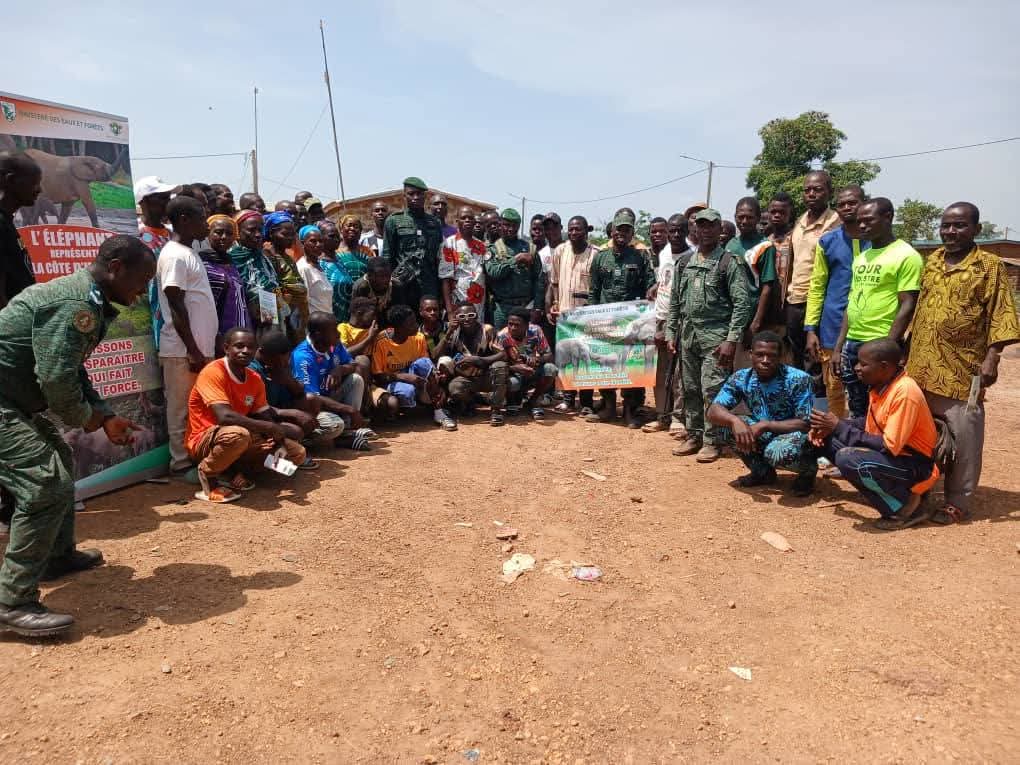 CÔTE D’IVOIRE-TONKPI : UNE CAMPAGNE DE SENSIBILISATION POUR RENFORCER LA PROTECTION DES ELEPHANTS