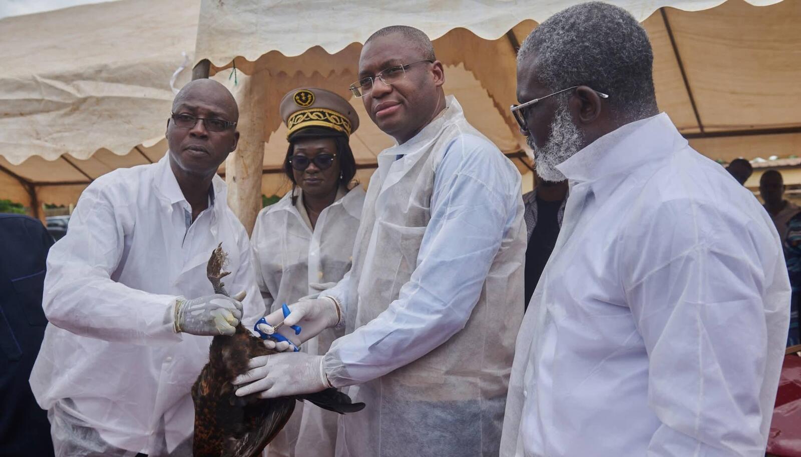 CÔTE D'IVOIRE- BOCANDA : LE MINISTRE SIDI TIÉMOKO TOURÉ SOUTIENT LES ÉLEVEURS DE VOLAILLE TRADITIONNELLE POUR SÉCURISER LEURS REVENUS ET PRÉSERVER LES EMPLOIS