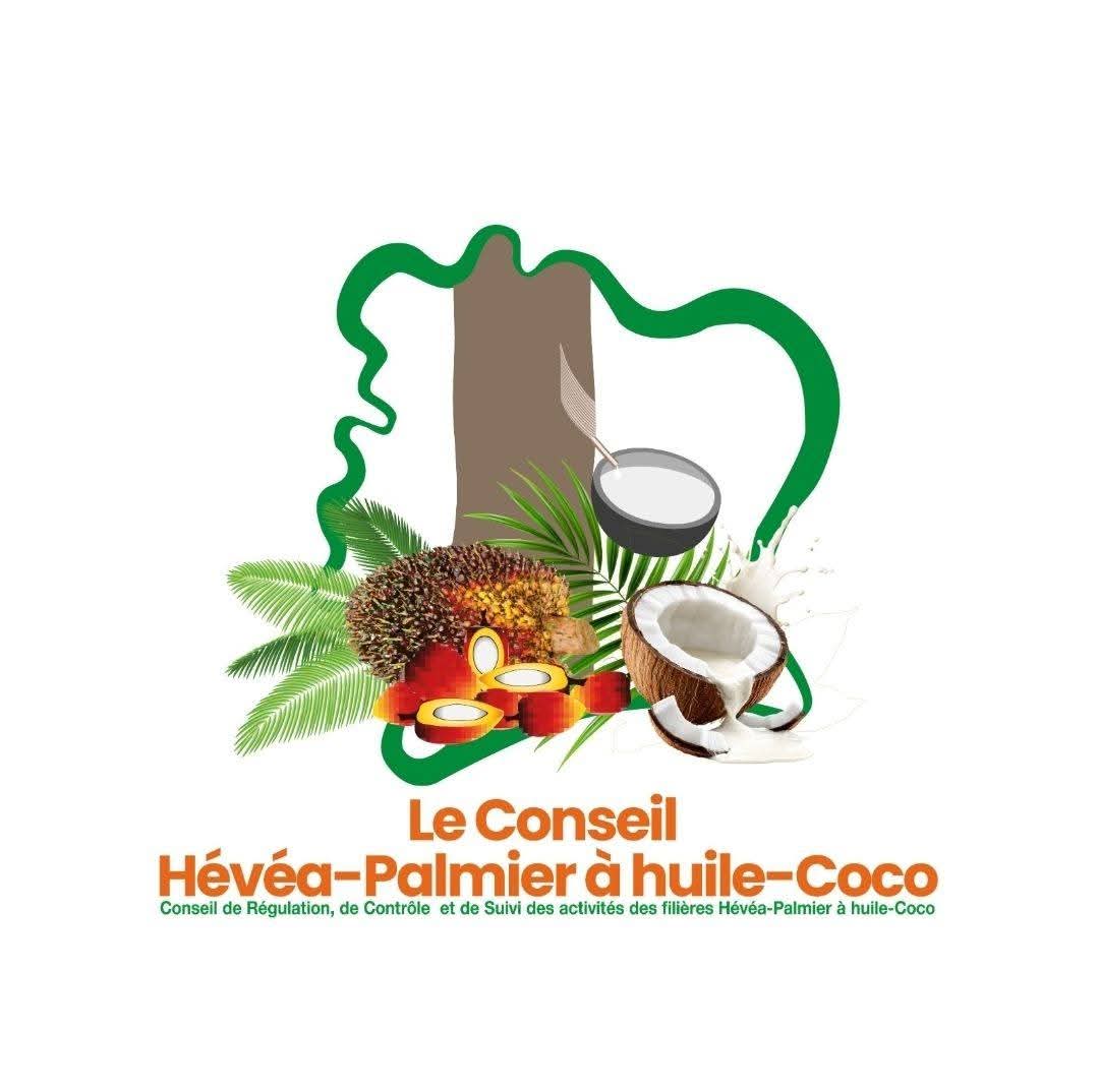 AGREMENT ACHETEURS DE FONDS DE TASSE D’HEVEA 2026 : LE CONSEIL HEVEA PALMIER A HUILE LANCE LA SESSION DE DEPOT DE DOSSIERS