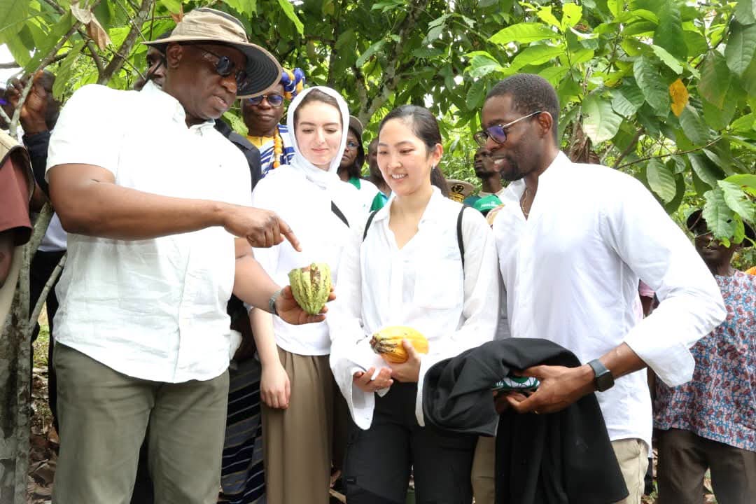 Cinquante millions de dollars pour transformer l’Agriculture ivoirienne face au climat