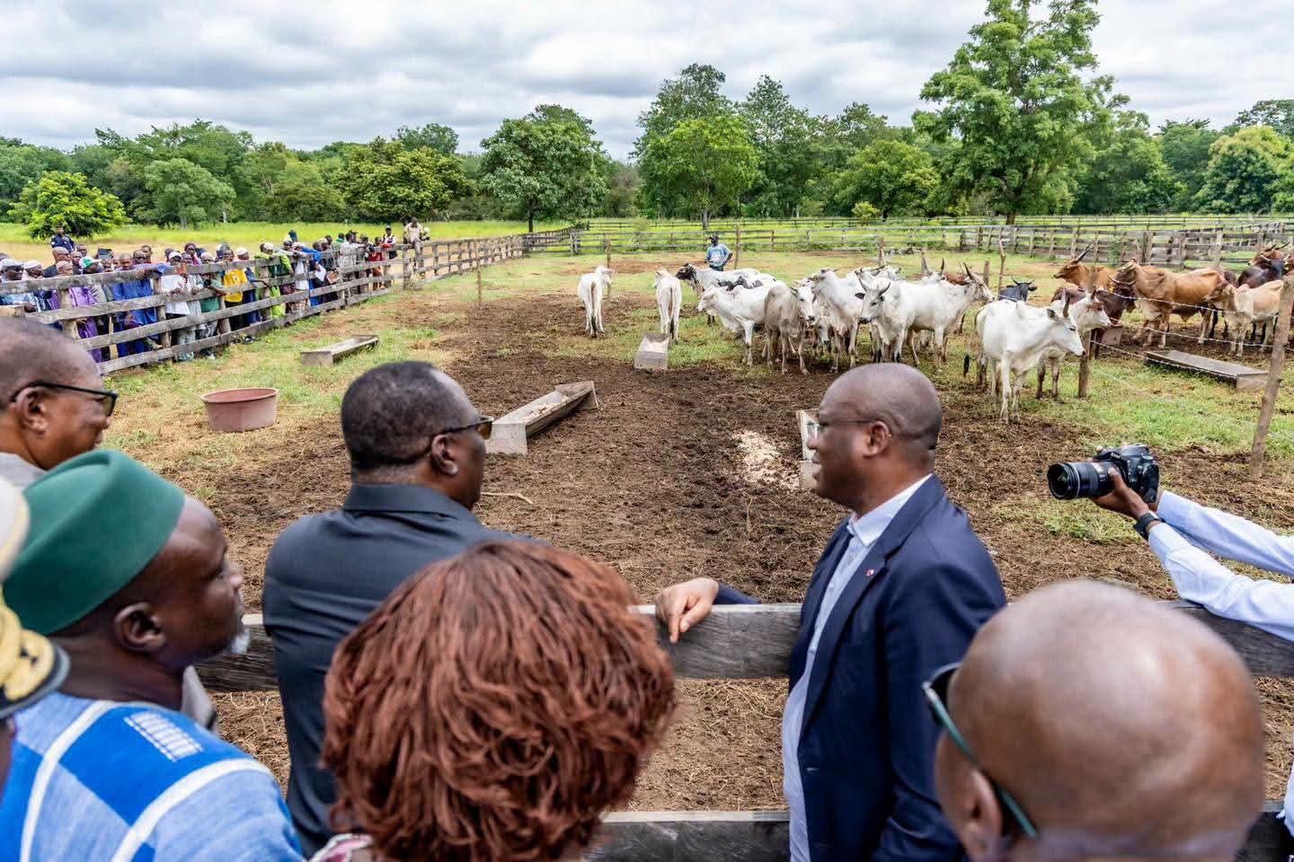 La Côte d'Ivoire inaugure son Centre d’élevage bovin de Panya