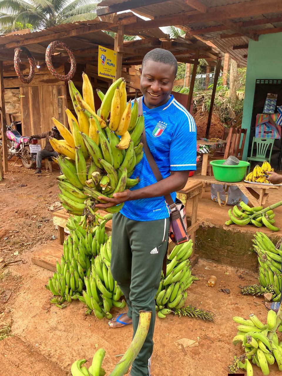 Associer le bananier plantain aux jeunes arbres fruitiers : cinq raisons économiquement convaincantes