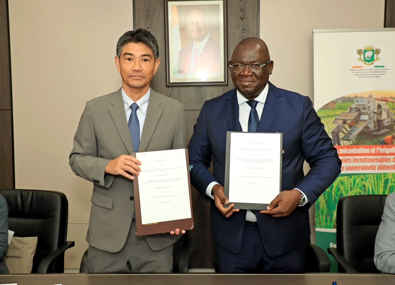 Souveraineté alimentaire : la Côte d’Ivoire mise sur son riz pour réduire les importations