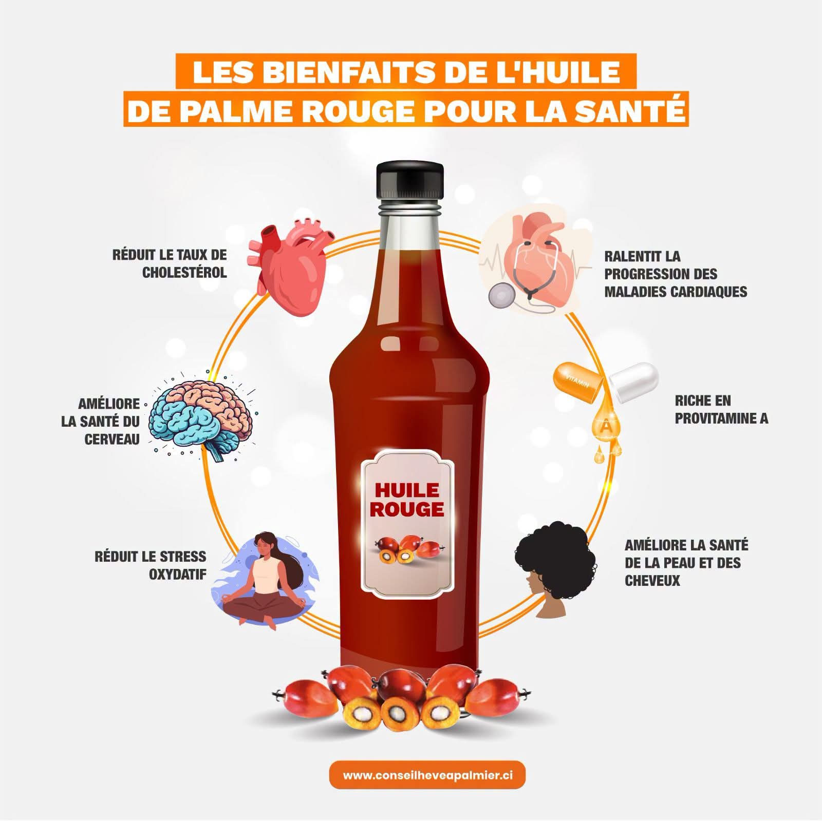 Les atouts de l’huile de palme rouge pour la peau, le cerveau et la santé