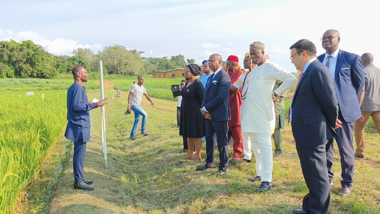 L'ambassadeur du Nigeria en Côte d'Ivoire explore les potentialités d'AfricaRice, la station de recherche du  Riz