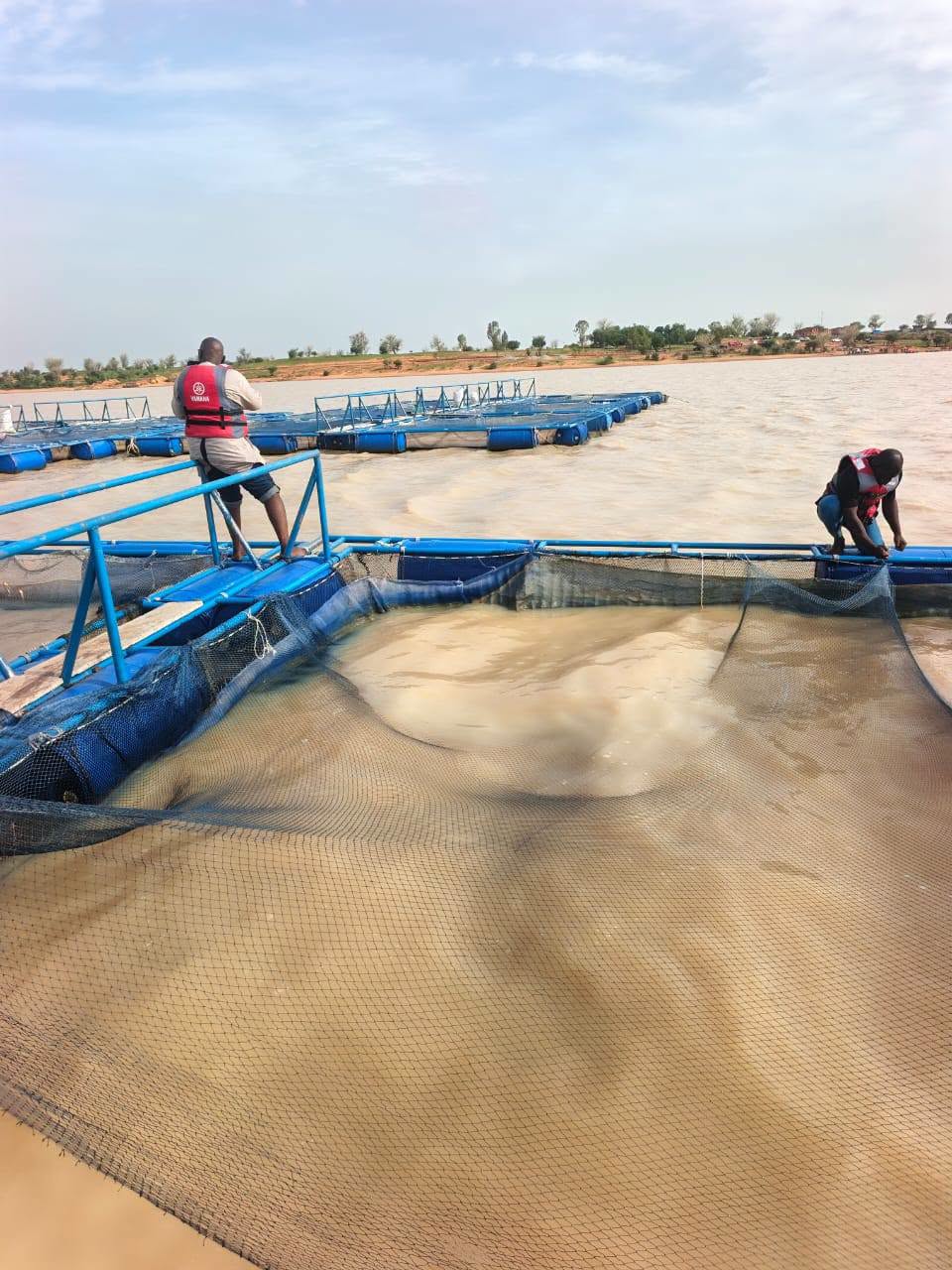 Burkina Faso : A Yacouta, le Sahel prend le large vers la souveraineté alimentaire
