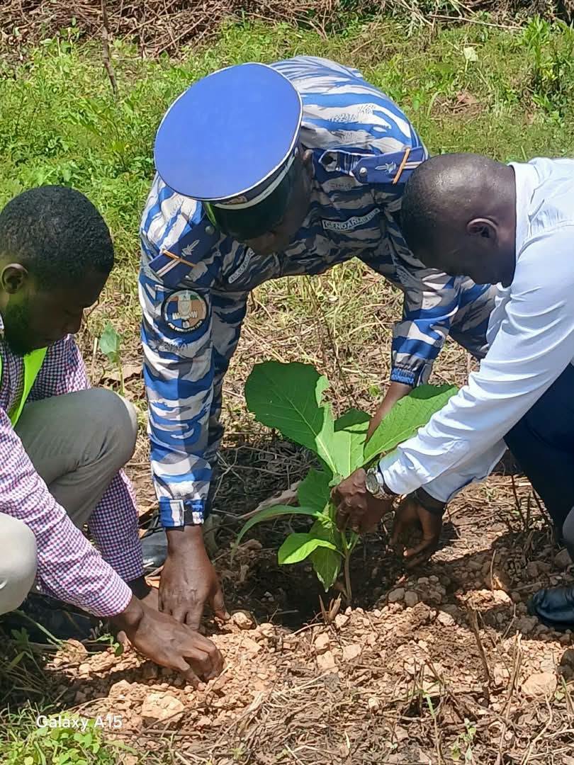 Ferkéssédougou : 1 650 arbres plantés en deux jours pour reverdir le Tchologo