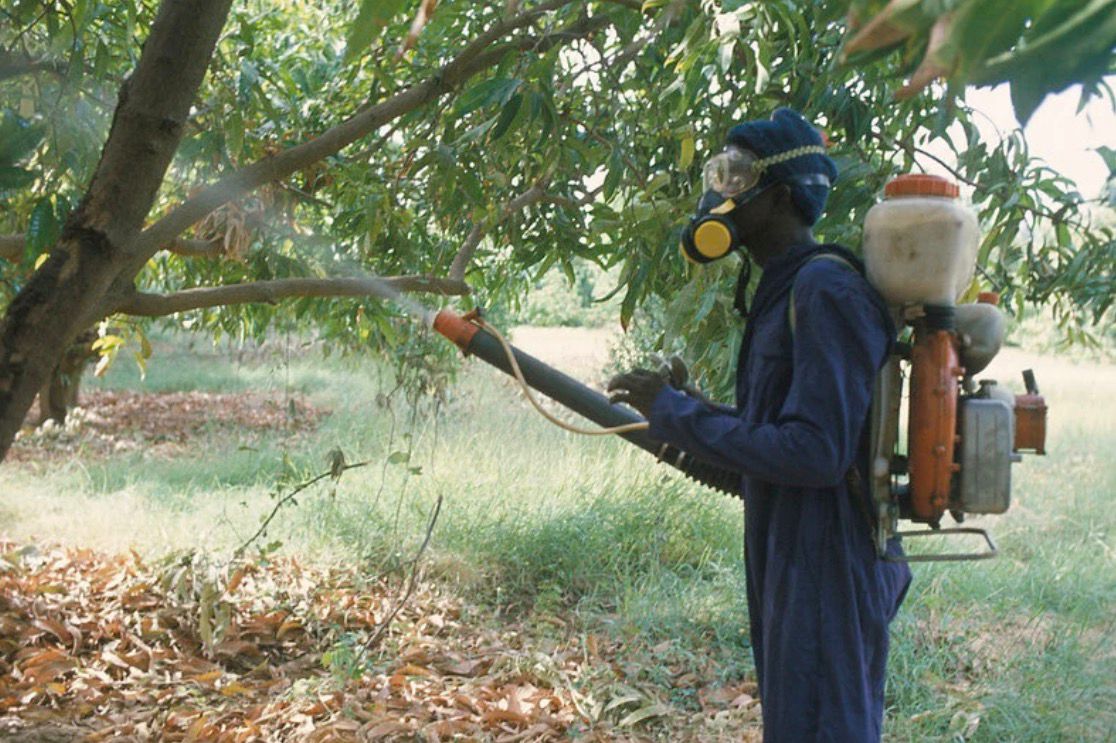 Pesticides : 11 000 agriculteurs fauchés chaque année dans le monde, une hécatombe largement sous-estimée