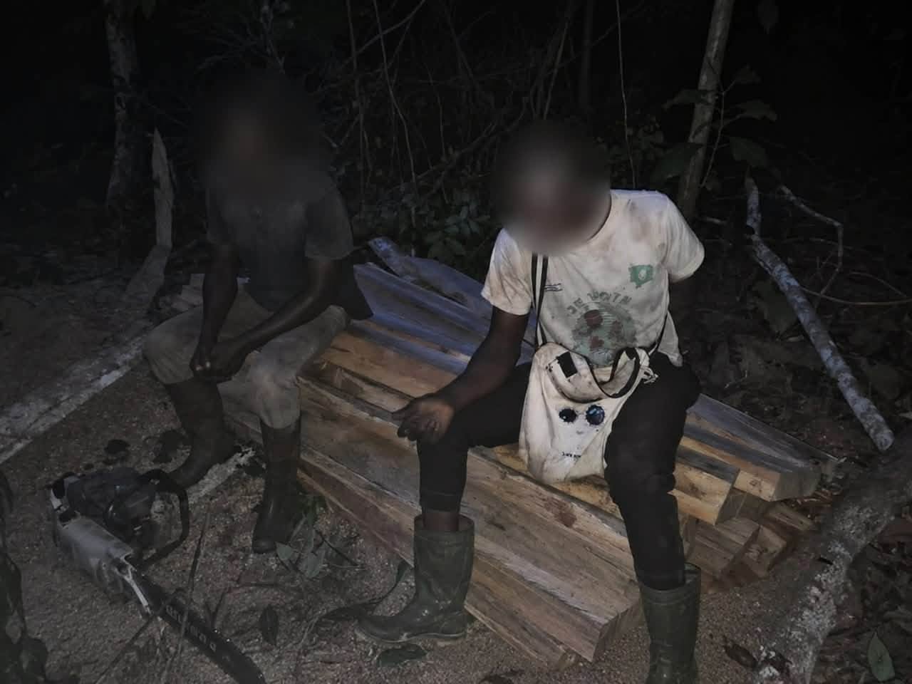 Sciage illégal : la BSSI frappe à Arrah et Bongo, trois interpellations et un véhicule saisi