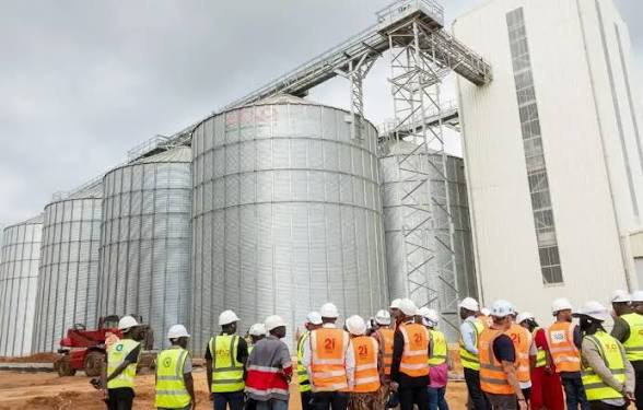 Bénin : 8 milliards pour Ehua Industries, nouvelle locomotive de la filière maïs-soja