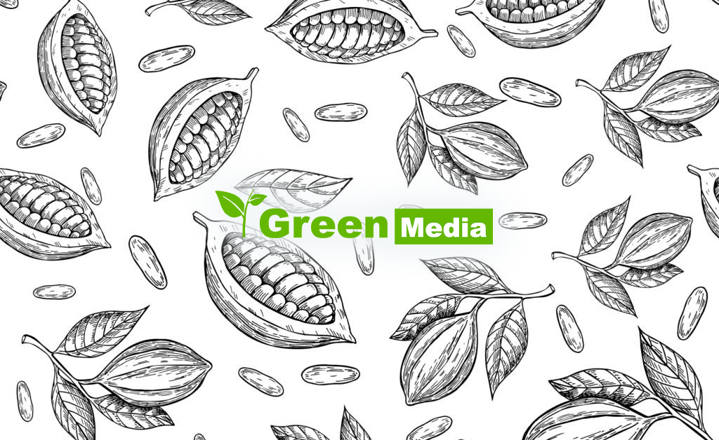 Découvrez en images, les désagréments subits par les sites d’Akwaba city - ENQUÊTE