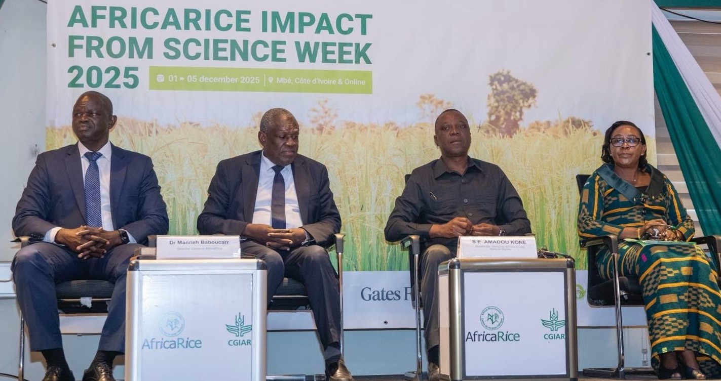 FILERE RIZ: AFRICARICE APPELLE A RENFORCER LA RECHERCHE RIZICOLE EN AFRIQUE