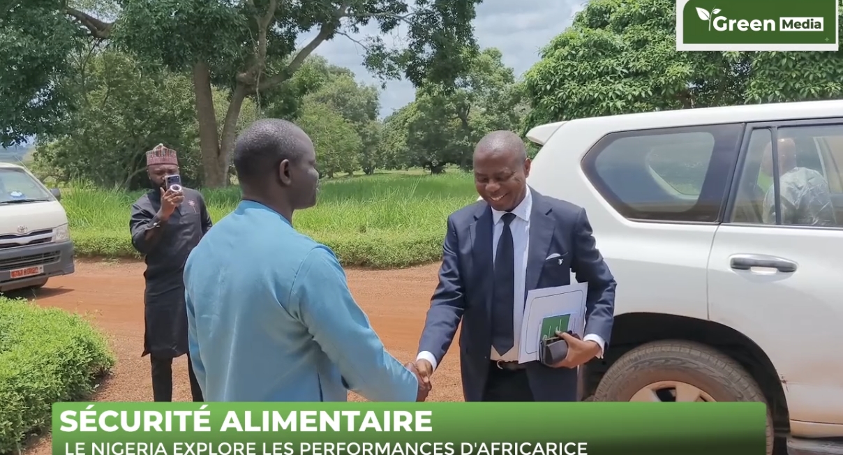 Le Nigeria retourne à l'école du riz à la station de recherche d'AfricaRice