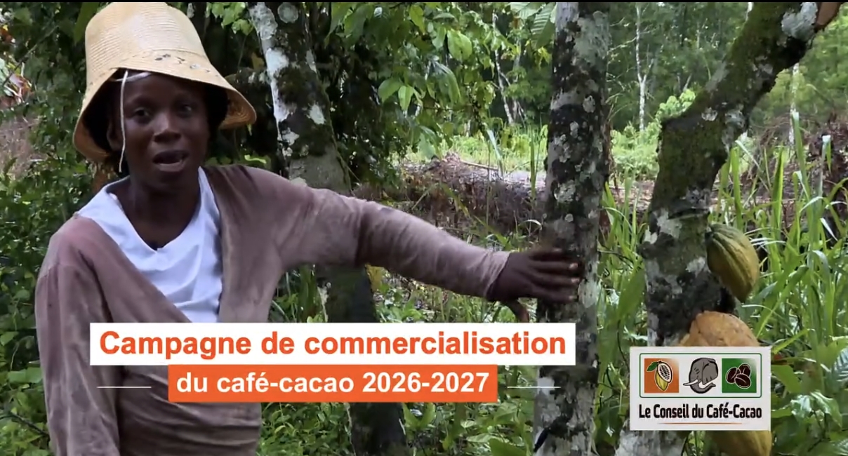 CAFÉ-CACAO : OUVERTURE DE LA CAMPAGNE 2026